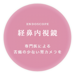 経鼻内視鏡検査